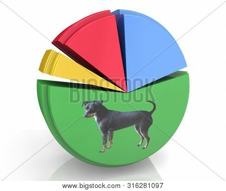Dog Animal Pet Pie Chart Percentage Majority Popularity 3d Illustration
