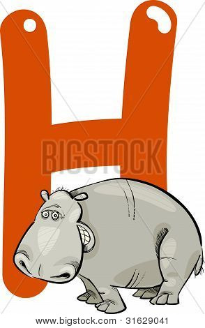 H For Hippo