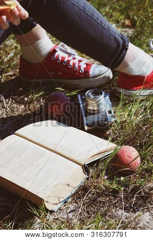 The Outdoor Picnic