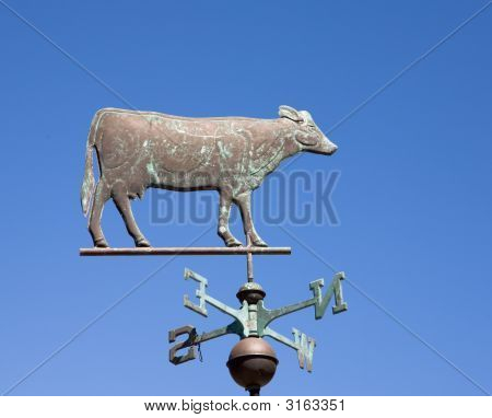 소박한 소 풍향