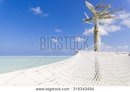 Hammock Over The Sea