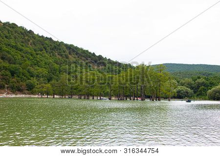 Cypress Lake In Succo. Attractions Anapa. Green Lake. Lake With Clear Water. . The Nature Of Russia.
