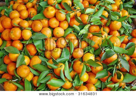 Mandalina