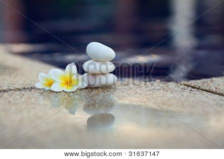 Plumeria květina a kameny