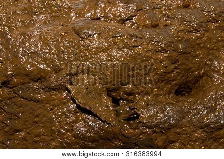 Texture Of Shit.background Of Excrement.shit In The Sewers.