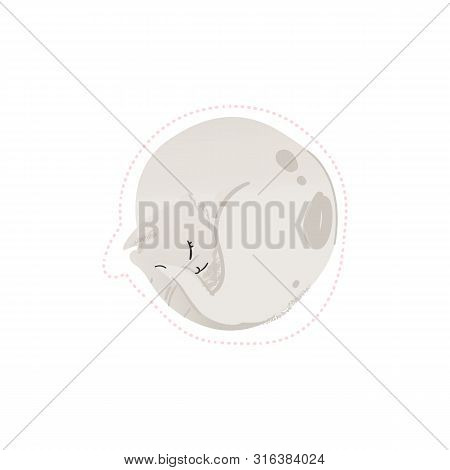 Cute White Cat Sleeping Curled Up In A Ball, Cartoon Pet Animal Drawing Isolated On White Background