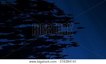 School Of Fish Swims Past Camera Light Rays Shining Through. Silhouettes. Great Popular Marine Backg