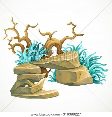 Aquarium Decoration Stone Arch With Sea Anemones And A Piece Of Wooden Driftwood Marine Object Isola