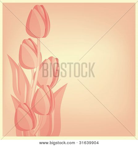 Tulpen Karte Hintergrund