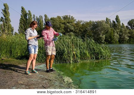 Ecologists Research Green Algae Sample Taken In River And Enter Data On Tablet