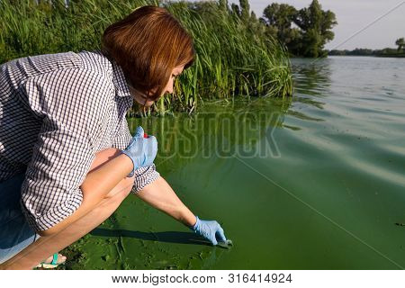 Side View Of Woman Ecologist Taking Samples Of Green Algae In Tube On Riverbank