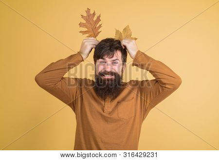 Man Playing With Autumn Leaves. Happy Autumn Man Preparing For Autumn Sale. Sale For Entire Autumn C