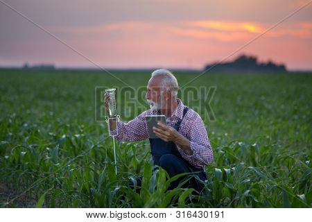 Senior Farmer With Tablet Squatting Beside Rain Gauge In Corn Field At Sunset