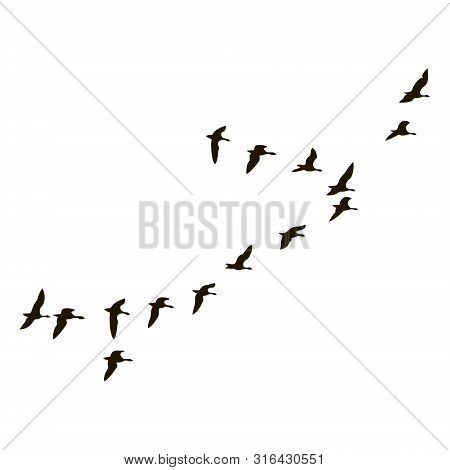 The Black Silhouettes Of Flying Birds Are On White Background.