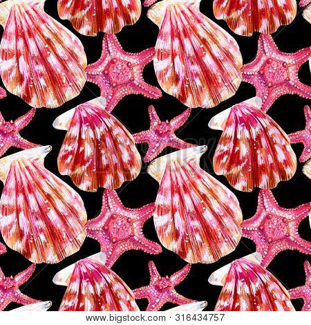Seamless Pattern Of Scallop Shells. Mother Of Pearl With Pink Clam Pectinidae And Starfish On A Blac