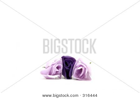 Flowers1