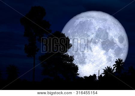 Full Sturgeon Moon On The Night Red Sky Back Silhouette Branch Tree