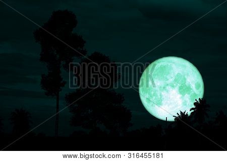 Green Sturgeon Moon On The Night Red Sky Back Silhouette Branch Tree