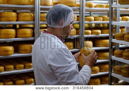 Cheesemaker checking ready product in a storage room