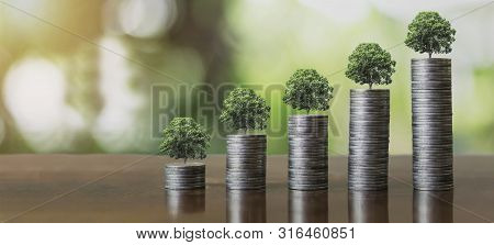 Stack Coins With Plants To Grow Into Steps. Business Growth Concept