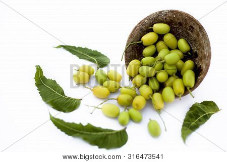 Neem Fruit Or Nim Fruit Or Indian Lilac Fruit In A Clay Bowl Isolated On White Along With Some Fresh