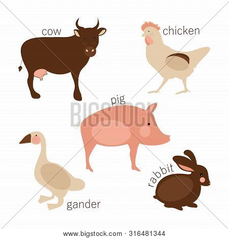 Set Of Farm Animals Isolated On White Background