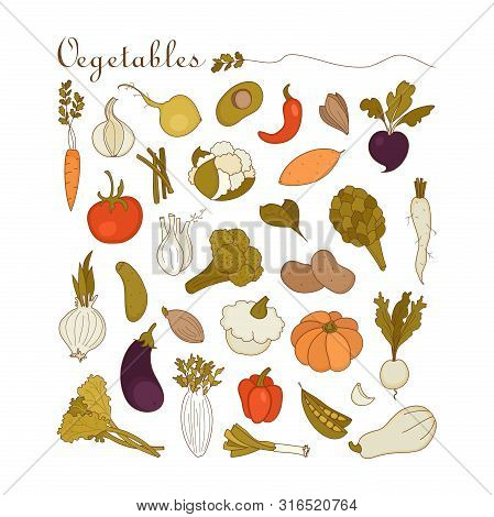 Vegetables. Vector Set With Hand Drawn Doodles On The  Theme Of Food. Sketches For Use Of Design. Pu
