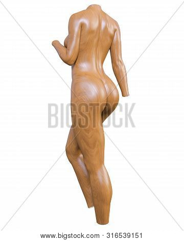 Female Mannequin. Torso