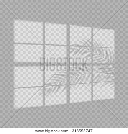 Transparent Shadow Overlay Effect. Tropic Leaf And Window Blind. Realistic Window Light And Shadow. 