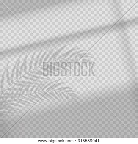 Transparent Shadow Overlay Effect. Tropic Leaf And Window Blind. Realistic Window Light And Shadow. 