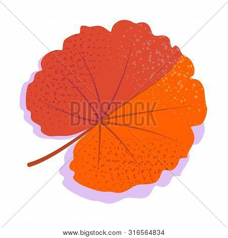 Orange Vector Geranium Leaf With Shadow, Isolated On White Background. Single Autumn Leaf.