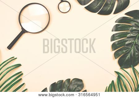 Beautiful Shiny Artificial Monstera Palm And Tropical Leaves And Two Magnifying Glasses On Pastel Ba