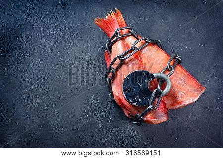 Vegetarianism. Vegan Food Concept With No Fish And Meat. Two Fishes Coiled With Chain And Lock. No A