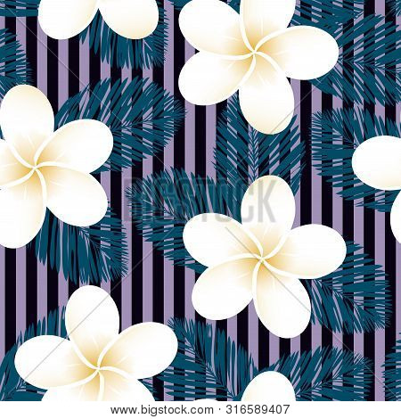 Seamless Striped Vector Tropical Pattern. Plumeria, Frangipani.