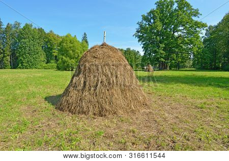 A Stack Of Dry Hay In The Field.after Haying, The Grass Was Collected In A Stack.