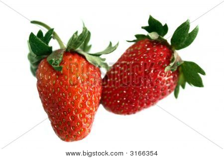 Isolamento fragola