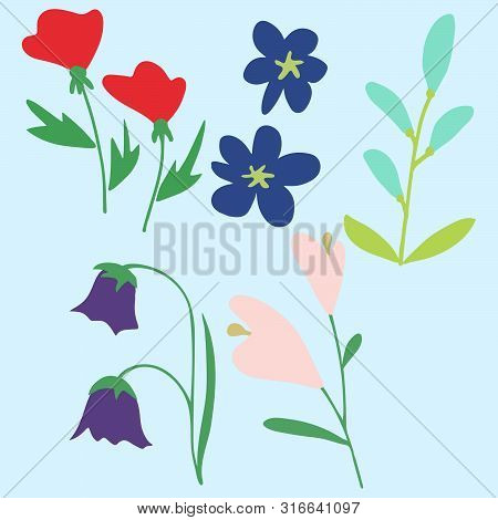 Vector Illustration Of Dafferent Flowers In Simple Style On Pastel Blue Background