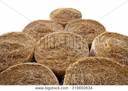 Hay Bales. Bottom View Round Hay Bales Stacked In Stacks.