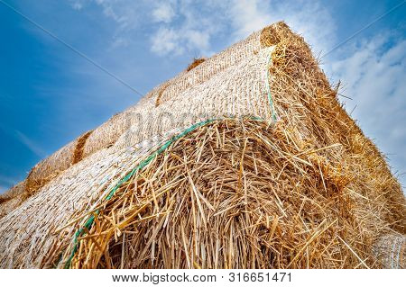 Hay Bales. Bottom View Of Round Hay Bales Stacked In Stacks Against A Blue Sky.