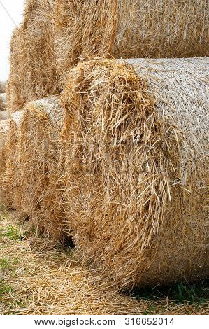 Stack Hay Closeup. Large Bales Of Hay Are Stacked In Stacks.