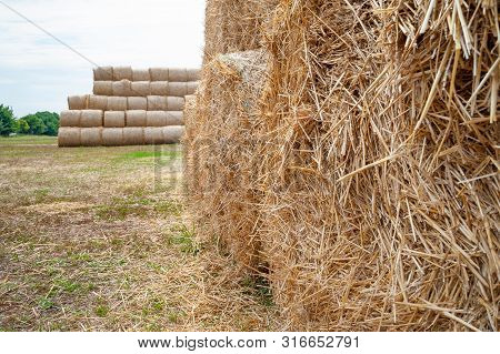Stack Hay Closeup. Hay Bales Are Stacked In Stacks.