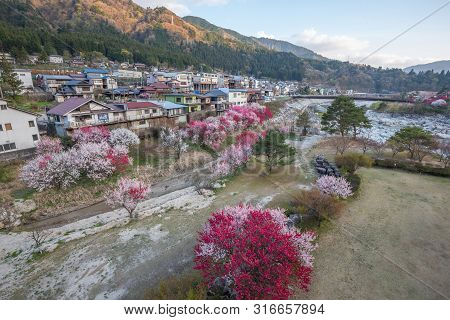Nagiso,nagano, Japan - April 20, 2019 : View Of Peach Blossom At Nagiso Village In Kiso Valley Of Na