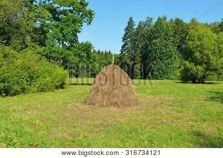 A Stack Of Dry Hay In The Field.after Haying, The Grass Was Collected In A Stack.