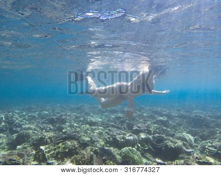 Women Doing Snorkeling, With Coral Reef Scenery And Light Rays Through The Water.