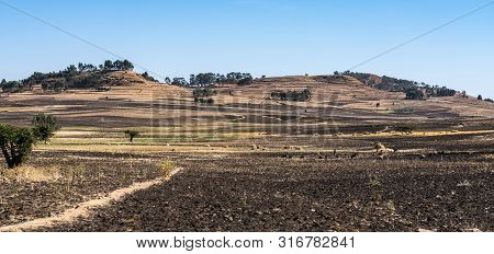 Landscape View On The Road From Gondar To The Simien Mountains, Noth Ethiopia, Africa.