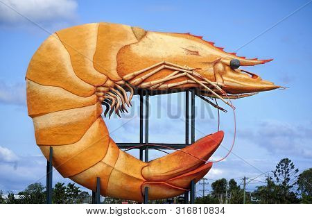 The Big Prawn Sculpture, Ballina New South Wales, Australia Taken On 21/1/2019