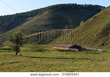 Horse Yard On The Outskirts Of The Taiga Village Generalka Altai Territory. Russia