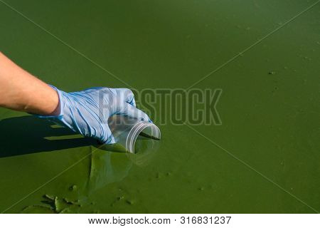 Closeup Of Hand In Medical Glove Taking Sample Of Green Algae In Container