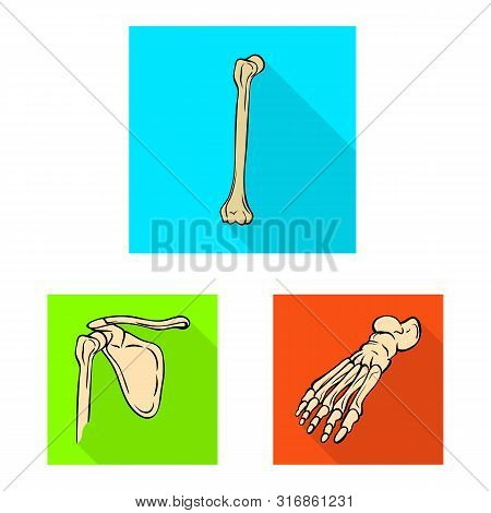 Vector Illustration Of Bone And Skeleton Sign. Set Of Bone And Human Stock Vector Illustration.