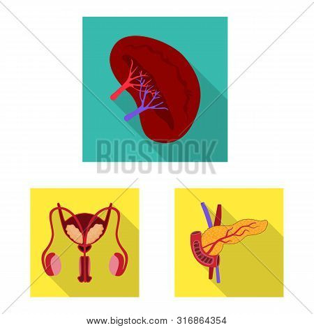 Vector Design Of Human And Health Icon. Collection Of Human And Scientific Vector Icon For Stock.